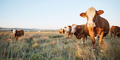 2024 Range Livestock Workshop - Prescott primary image