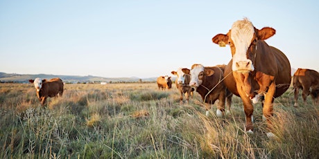2024 Range Livestock Workshop - Prescott