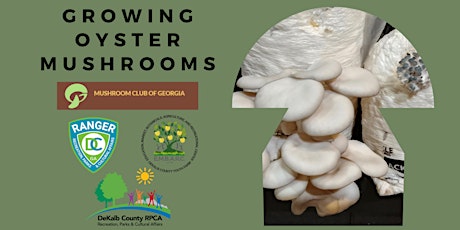 Imagem principal de GROWING OYSTER MUSHROOMS.                                  IT’S IN THE BAG!