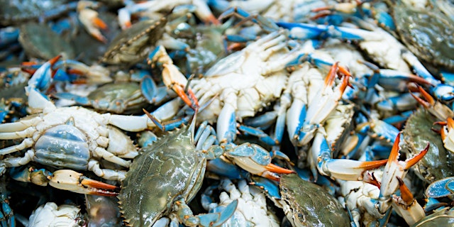 Image principale de Crabs for a Cause 2026