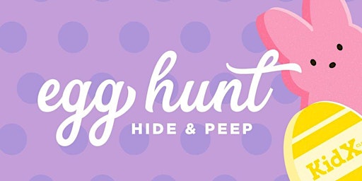 Imagem principal do evento Hide & Peep