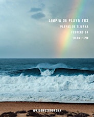 Limpia de playa #83 primary image