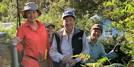 Come and Try Bushcare Day