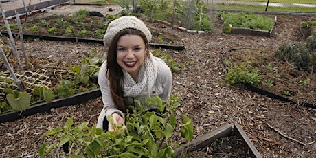 Werribee: Understanding Human Behaviour to Influence Community Change