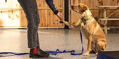 Imagen principal de Park-9  Puppy Seminar