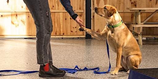 Primaire afbeelding van Park-9  Puppy Seminar