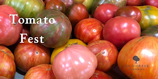 Primaire afbeelding van Tomato Fest