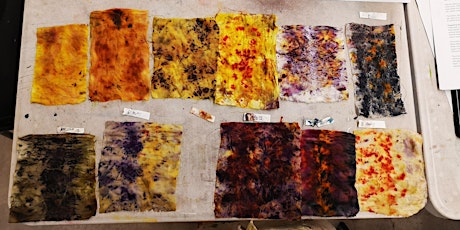 Bundle Dyeing with Plant & Vegetable Dyes
