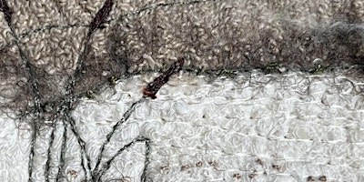 Immagine principale di Feltmaking: Textured Landscapes - Two Day Course 