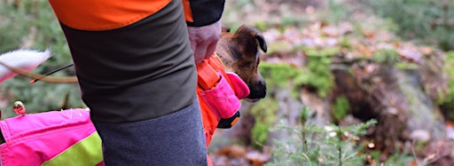 Immagine raccolta per Hundeausbildung