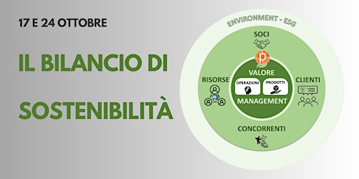 Primaire afbeelding van IL BILANCIO DI SOSTENIBILITA'