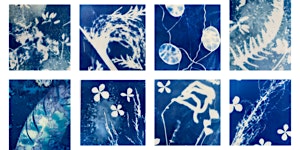Imagem principal do evento Reconnect with Cyanotype printing at Carlton Marshes