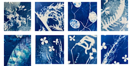 Reconnect with Cyanotype printing at Carlton Marshes