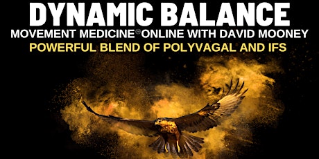 DYNAMIC BALANCE - MOVEMENT MEDICINE AND POLYVAGAL  primärbild