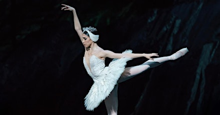 Immagine principale di ROH Live - Swan Lake 