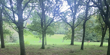 Rhody Bashing in Balbirnie Park to make room for New Trees & Litter Cleanup