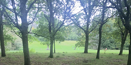 Rhody Bashing in Balbirnie Park to make room for New Trees & Litter Cleanup  primärbild