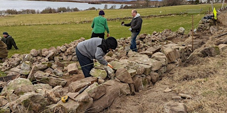 2 Day Drystone walling workshop 11th-12th May 2024