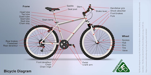 Primaire afbeelding van Bicycle Basics Workshop