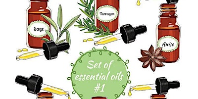 Introduction to Blending Essential Oils - Create your own blend primary image