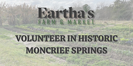 Image principale de Eartha’s Farm & Market Volunteering