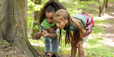 Imagem principal do evento Wild in the Woods: family walk and pond dip (Cambourne)