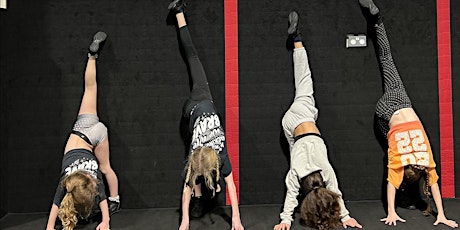 Aerials  Workshop , Thursday 30th May 2024, 1:30-3pm