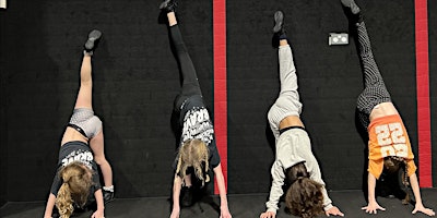 Primaire afbeelding van Aerials  Workshop , Thursday 30th May 2024, 1:30-3pm