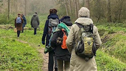 Vier de lente bosbad