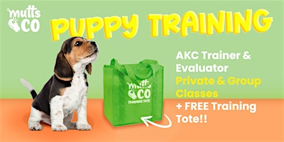 Imagen principal de AKC Star Puppy Program (Dublin)