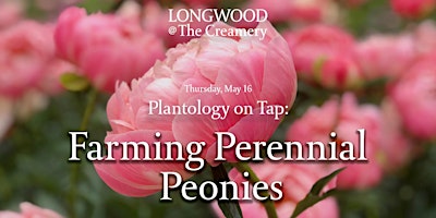 Primaire afbeelding van Longwood at The Creamery - Plantology on Tap - Farming Perennial Peonies