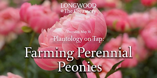 Imagem principal do evento Longwood at The Creamery - Plantology on Tap - Farming Perennial Peonies