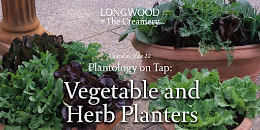 Primaire afbeelding van Longwood at The Creamery - Plantology on Tap - Vegetable and Herb Planters