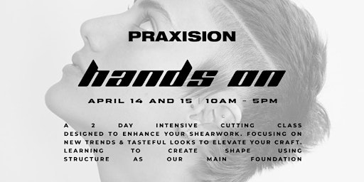 PRAXISION 2 DAY HANDS ON primary image