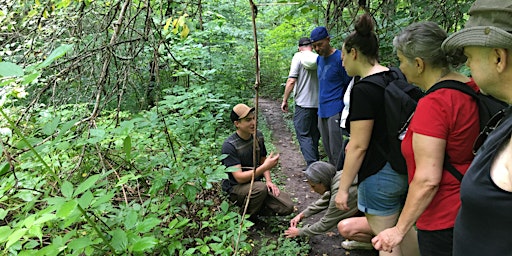 Hauptbild für Wild Food Walk (Sold out)