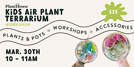 Kids Air-Plant Terrarium Workshop