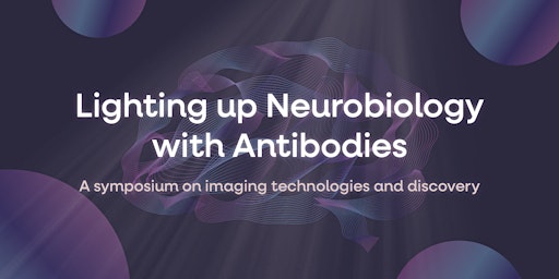 Imagem principal do evento Lighting Up Neurobiology with Antibodies