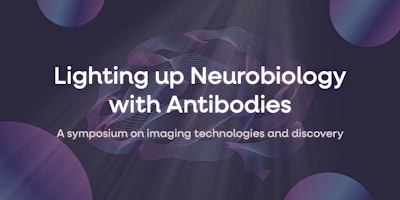 Immagine principale di Lighting Up Neurobiology with Antibodies 