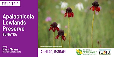 Apalachicola Lowlands Preserve