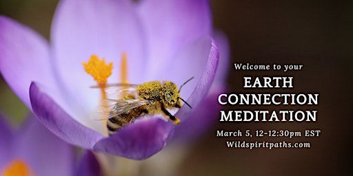 Imagen principal de Earth Connection Meditation: Guided Meditation, Practices & Poetry