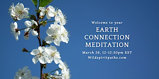 Earth Connection Meditation: Guided Meditation, Practices & Poetry primary image