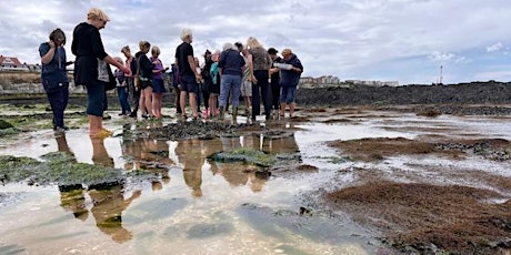 Earth Day Walk:  'Seaweed & Their Secrets' - Walpole Bay, Margate