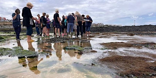 Earth Day Walk:  'Seaweed & Their Secrets' - Walpole Bay, Margate primary image
