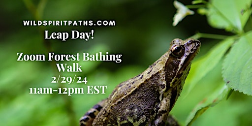Forest Bathing (on Zoom): Leap Day! primary image