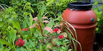 Immagine principale di 4-27-2024 Earth Day Rain Water Harvesting Workshop with Rain Barrel 