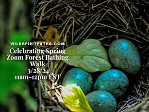 Forest Bathing (on Zoom): Celebrating Spring in the Northern Hemisphere