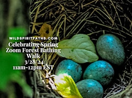 Forest Bathing (on Zoom): Celebrating Spring in the Northern Hemisphere primary image