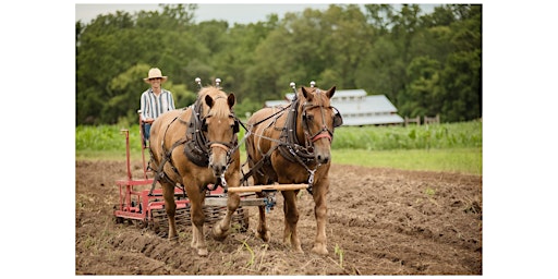 Imagem principal do evento Farming with Oxen and Horses