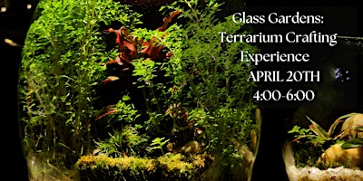 Imagem principal do evento Glass Gardens: Terrarium Crafting Experience