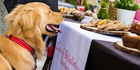 Paws Patio Food Fest